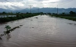Perkembangan Situasi dan Penanganan Bencana Tanggal 17 Februari 2025